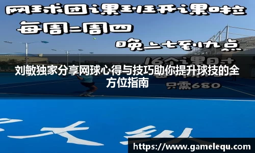 刘敏独家分享网球心得与技巧助你提升球技的全方位指南